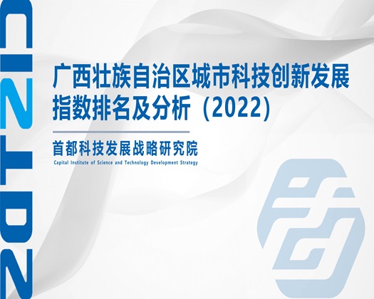 美女被操的的视频网站【成果发布】广西壮族自治区城市科技创新发展指数排名及分析（2022）